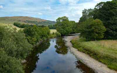 Scottish Freshwater Group Annual Meeting – April 2026